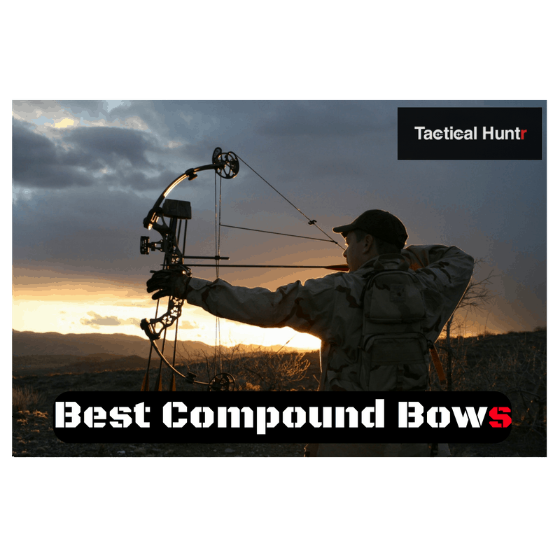Compound Bow Reviews