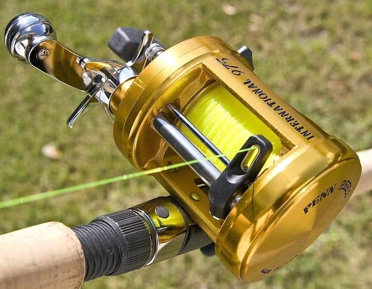 The Best Catfish Spinning Reels To Hook A Monster in 2020