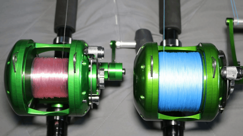 Mono vs. Braided Fishing Line