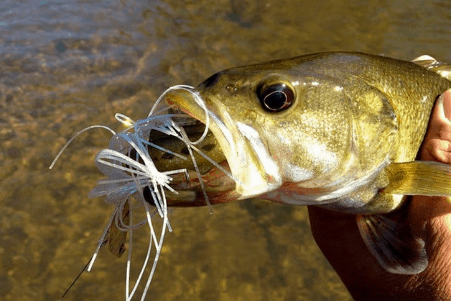 How to tie chatterbait