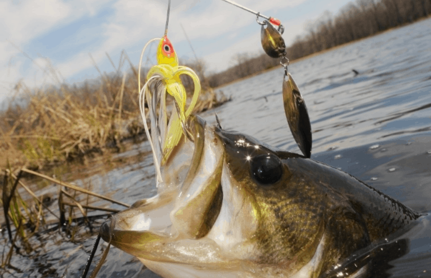 chatterbait mistakes to avoid