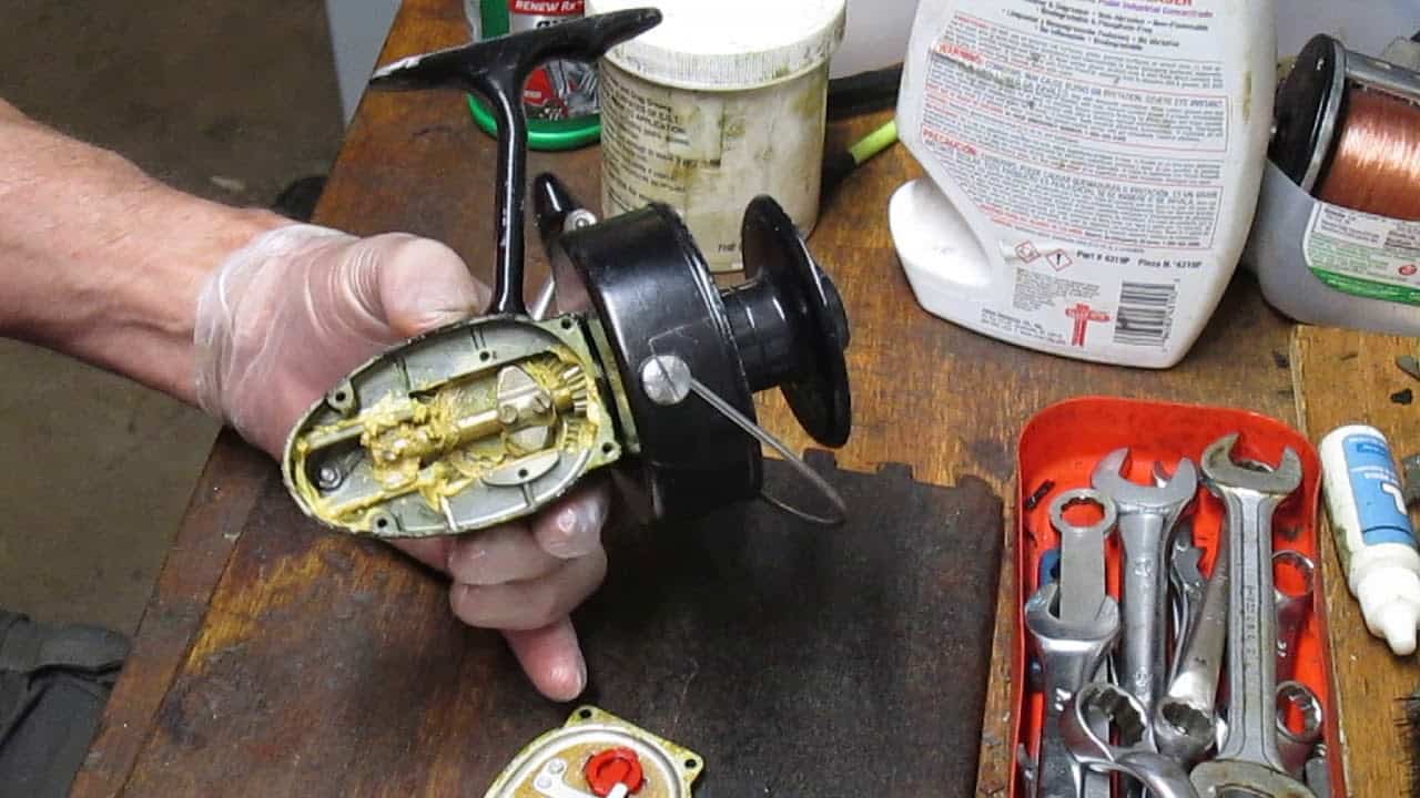 The Best Fishing Reel Grease To Keep Your Reel Spinning