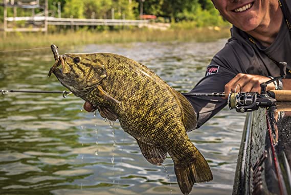 Best Smallmouth Bass Lures